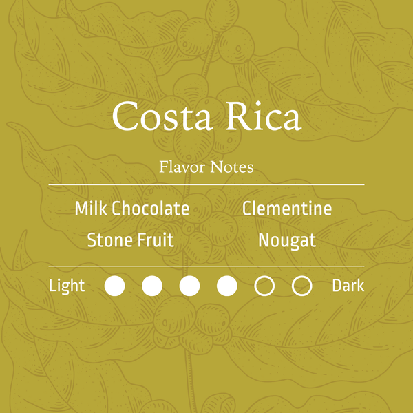 Costa Rica | Pérez Zeledón