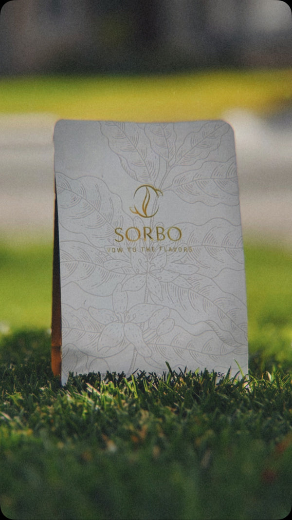 Bundle v60 & 10oz bag