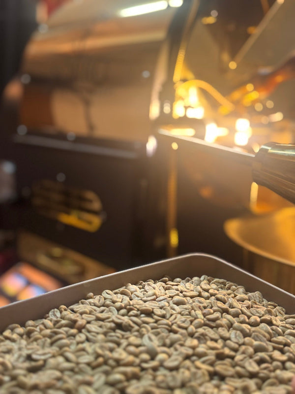 Washed vs. Natural: What It Means in Your Cup