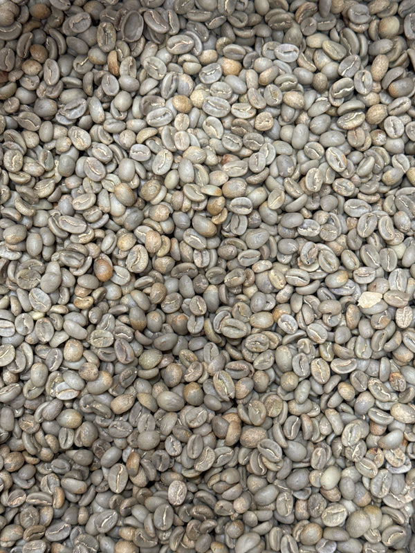 Castillo (CAFÉ URIBE)