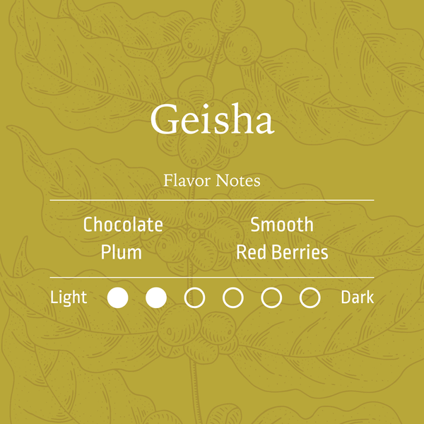Geisha | Cafe Uribe